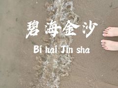 -碧海金沙