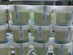 -白色日记·手作酸奶(麦凯乐店)