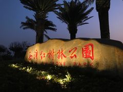 -宝安西湾红树林湿地公园