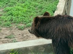 -上海野生动物园