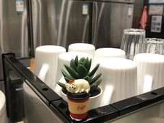 -缶乐FOLLOW咖啡