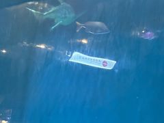 -华夏文旅西安度假区