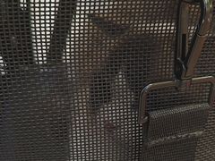 -美联众合动物医院·24h转诊中心