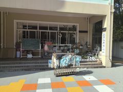 -上海青草地幼儿园