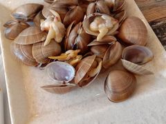 -老谷家黄泥烧鸽子·烧烤