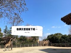 -上海野生动物园