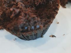 -星巴克(湖州安吉浙北大厦店)