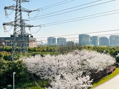 -外高桥保税区南(地铁站)