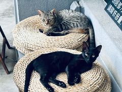 -转山咖啡(松柏社区店)