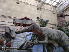 -国家自然博物馆