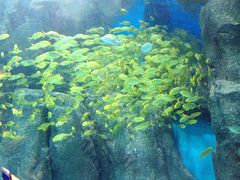 -福州罗源湾海洋世界旅游区