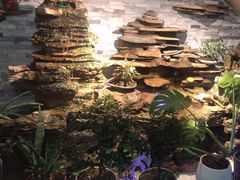 -会宾园·云山宴中餐