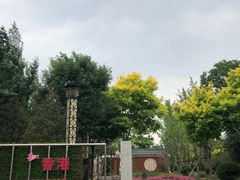 -武清南湖绿博园