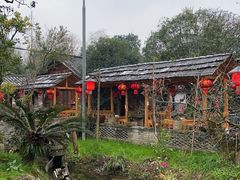 -青城甲(青城山店)