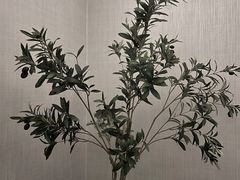 -浅深(世茂滨江精品店)