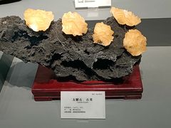 -湖南省地质博物馆