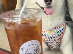 -卖呆儿咖啡(望京店)