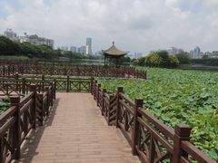 -南宁南湖公园