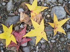 -西岭雪山大飞水景区