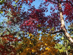 -长春市南湖公园