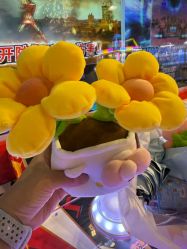 -卡通尼·Safari非洲探索乐园·生日会(金桥国际商业广场店)