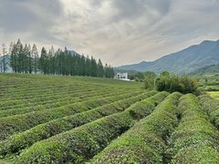 -莫干山风景区