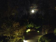 -芭东小镇温泉
