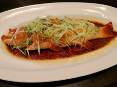 -绿波廊七号(豫园新路店)