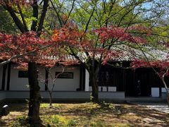 -白马涧龙池景区