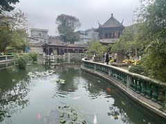 -碧江金楼