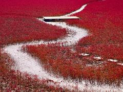-红海滩国家风景廊道