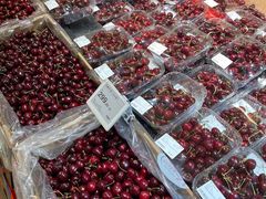 -T11生鲜超市(朝阳公园店)