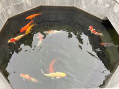 -西安市广仁寺