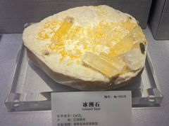 -湖南省地质博物馆