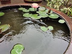 -许驸马府