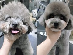 -Oh My Dog宠物沙龙(伊珊娜皮毛护理店)