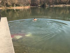 -紫霞湖公园
