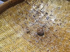 -邓记新一代糖油果子(四川煤管局供销公司职工宿舍店)