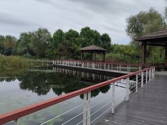 -同里国家湿地公园