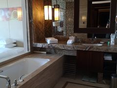 -长白山万达喜来登度假酒店