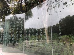 -深圳国际园林花卉博览园