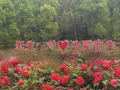 -天生桥景区