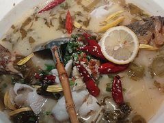 -大榕树下顺德菜(融创茂店)