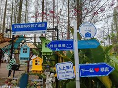 -东平国家森林公园
