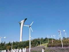 景点-沈阳植物园