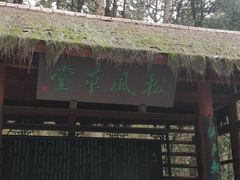 -铁山坪森林公园