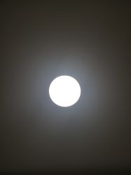 -德哥灰指甲脚气甲沟炎跖疣护理