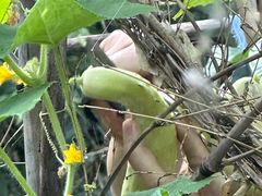 -东天目山风景区