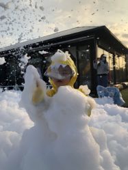 -小蜜蜂农场(凯德七宝购物广场店)