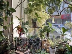 -弗劳尔花艺坊(龙涛店)